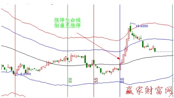 贏家戰法漲停生命線