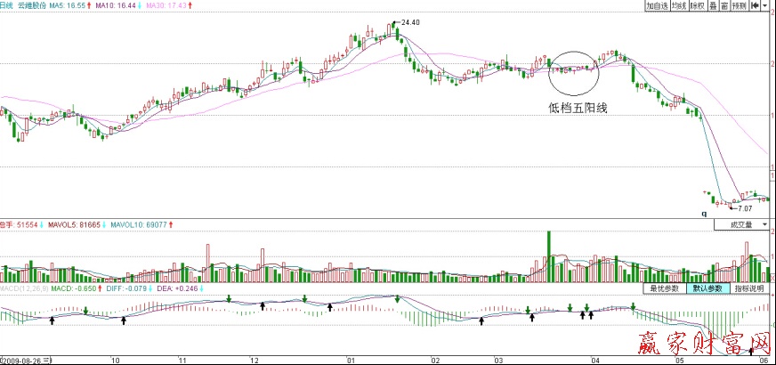 云維股份日K線圖