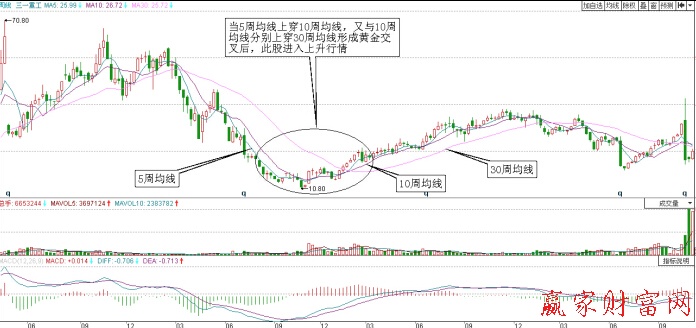 三一重工周均線(xiàn)走勢(shì)圖