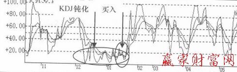 仙人指路組合怎么分析