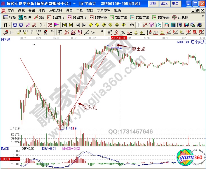 遼寧成大600739實戰解析