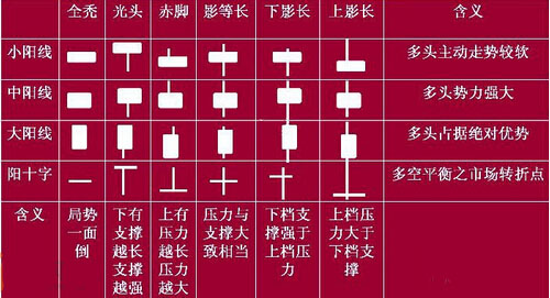 陽線具有的基本種類