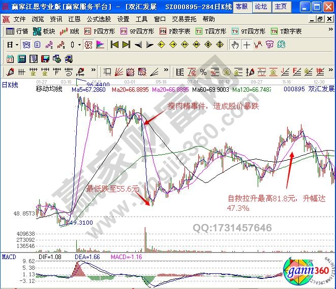 圖2 雙匯發展示例圖.jpg