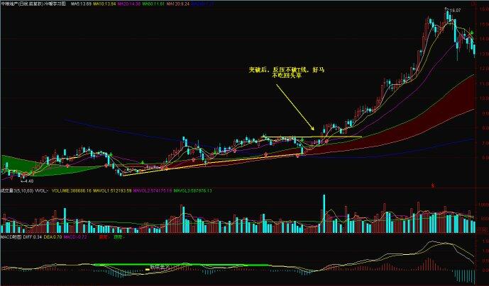 好馬不吃回頭草實戰解析