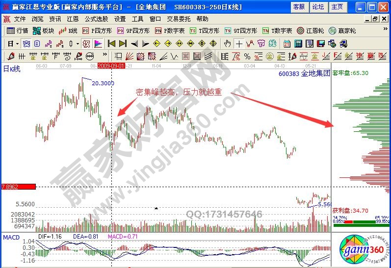 金地集團600383籌碼分布實戰(zhàn)