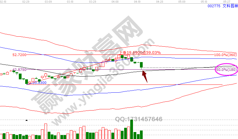 50%回調法則+極反通道