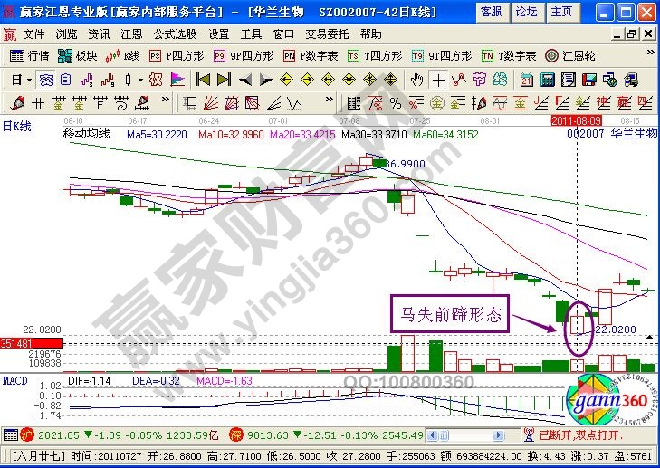 “馬失前蹄”形態