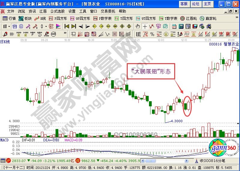 “大鵬展翅”戰法