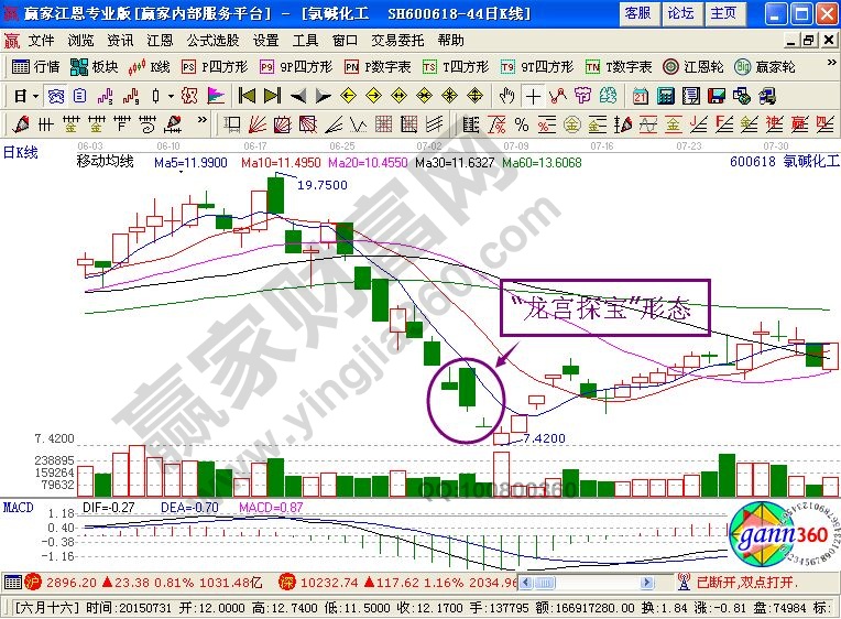 龍宮探寶形態的實際含義