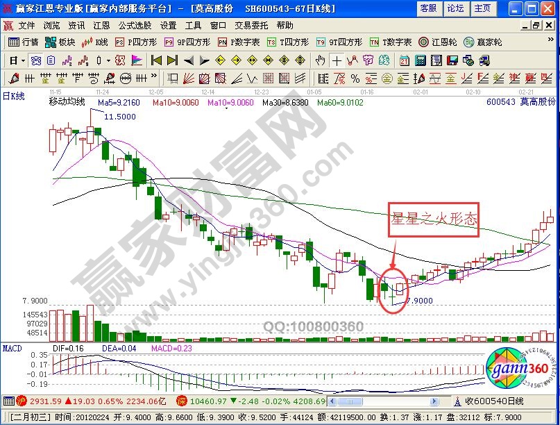 “星星之火”形態