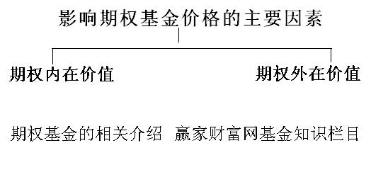 影響期權基金價格的因素