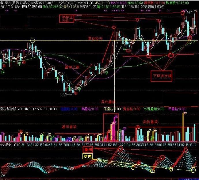 魯泰A翻倍黑馬股