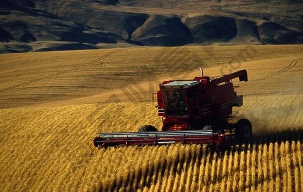 農(nóng)機(jī)概念股