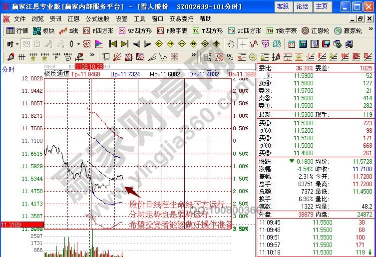 雪人股份分時(shí)圖