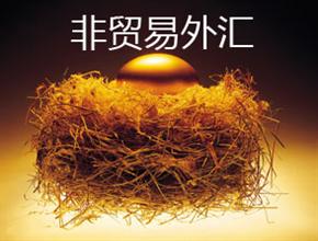 非貿易外匯
