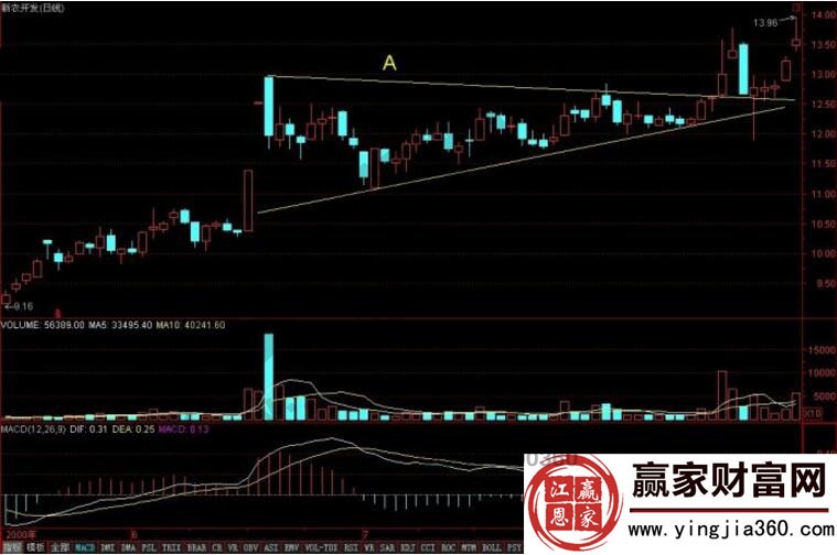 新農開發上升極座標