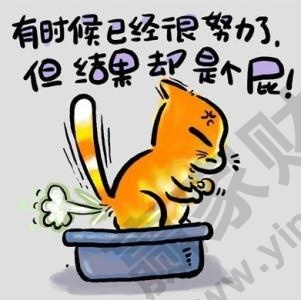 有時候已經很努力了但結果是個屁