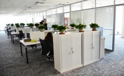 投資公司發展前景