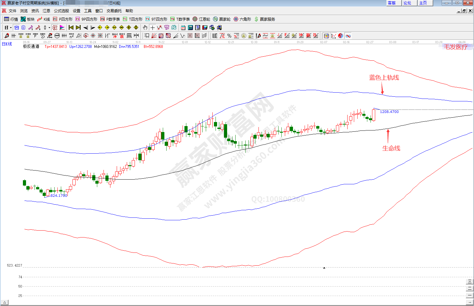 毛發醫療板塊趨勢分析